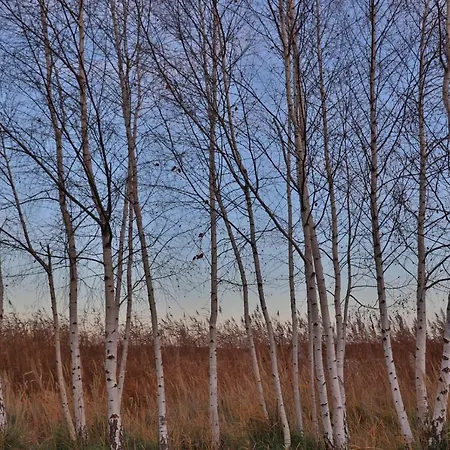 Appartement Zum-butterstock *