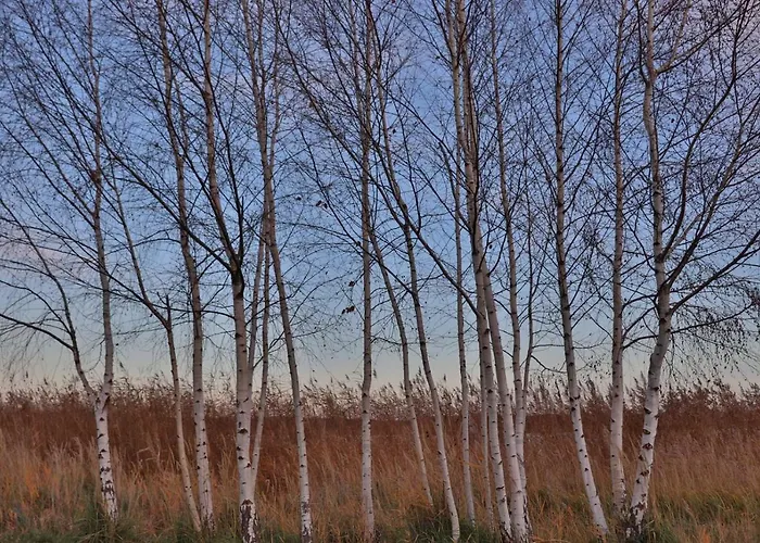 Apartman Zum-butterstock *